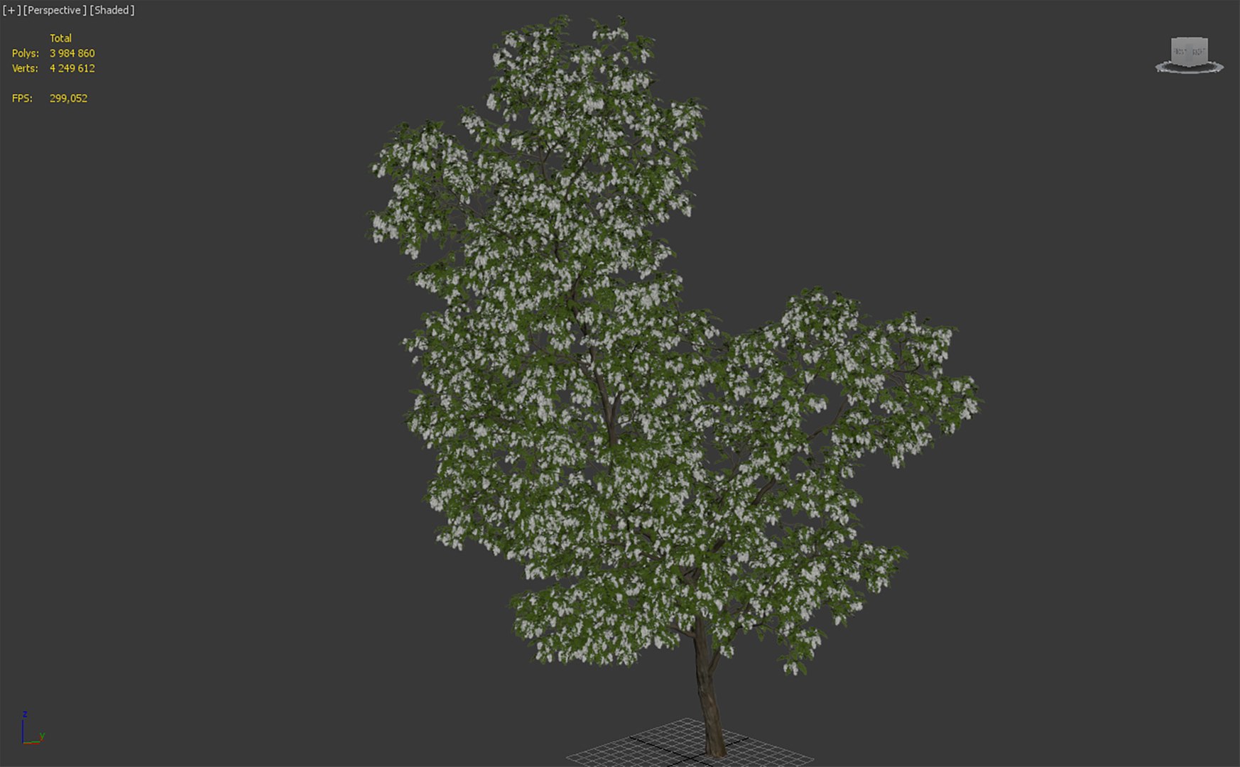 acacia tree 3D model https://p.turbosquid.com/ts-thumb/nt/Hli52Z/Ig/1t/jpg/1614421904/1920x1080/fit_q87/a5232c481212d930043a79de70aeab6f22593d32/1t.jpg