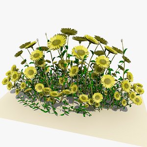 3dsmax white daisy flowers