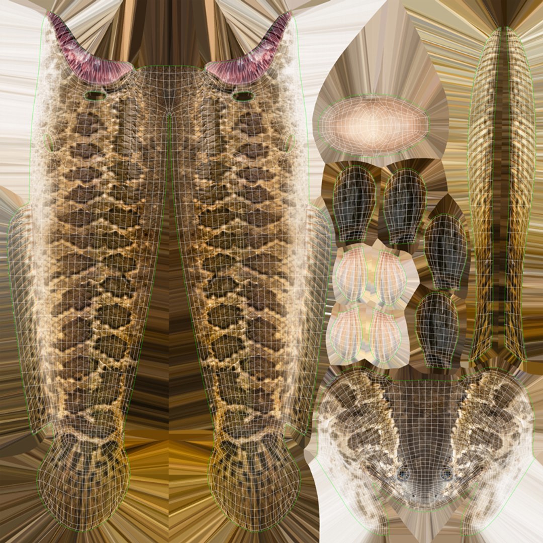 Snakehead Fish Animated Model - TurboSquid 1815986