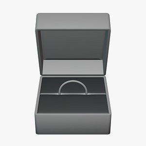 Ring Box - Geometry Only No Textures No Materials
