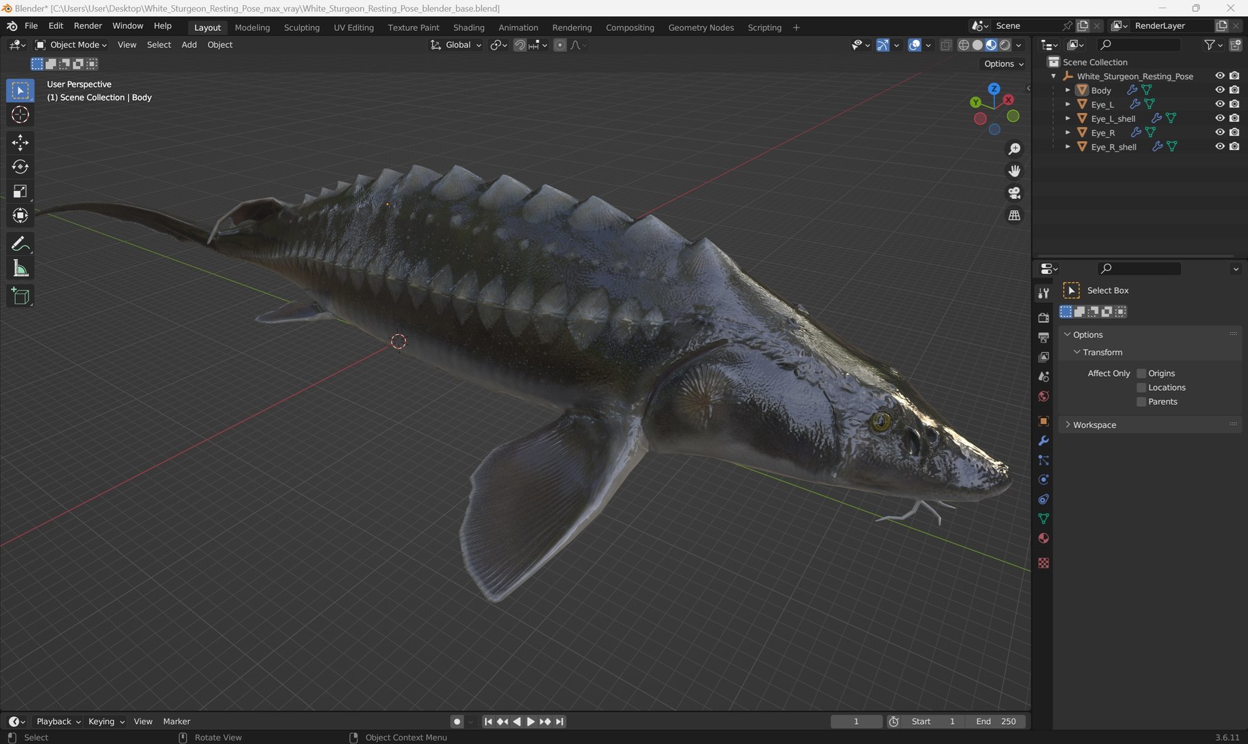 3D White Sturgeon Resting Pose https://p.turbosquid.com/ts-thumb/nt/kNCT4q/5U/white_sturgeon_resting_pose_1001/jpg/1756235165/1920x1080/fit_q87/a1bc914e73d6c444e2173b64b715eef4239ae97c/white_sturgeon_resting_pose_1001.jpg
