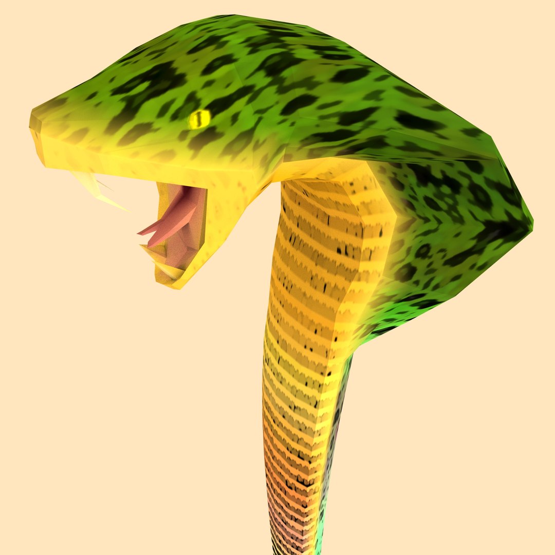 3D Snake Low Poly - TurboSquid 2099091