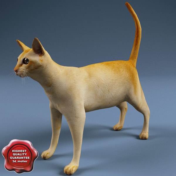 cat modelled 3d model