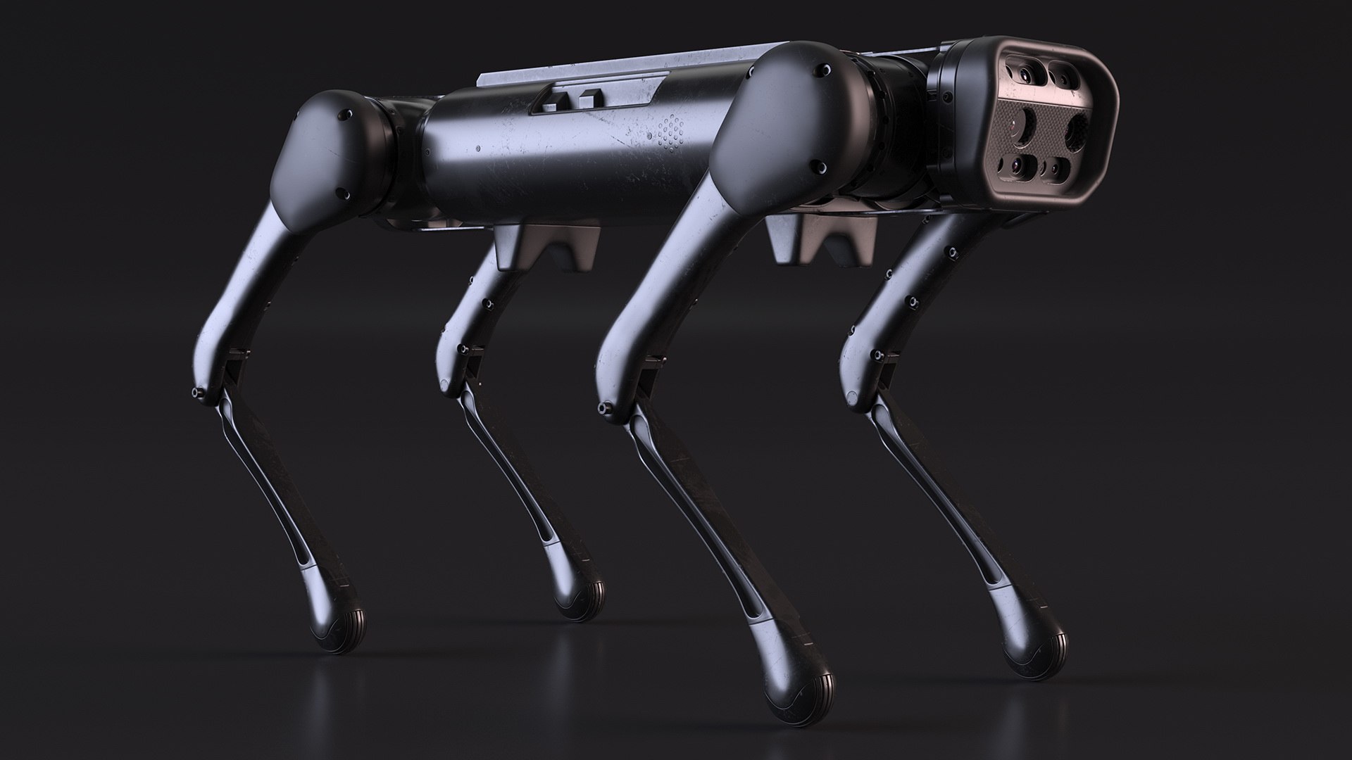 3D model Dirty Robot Dog Aliengo Rigged for Cinema 4D https://p.turbosquid.com/ts-thumb/nt/wDa6Jk/vv/dirty_robot_dog_aliengo_rigged_009/jpg/1772022676/1920x1080/fit_q87/d316a1febb23ceafff4e2882993c9166c4d77354/dirty_robot_dog_aliengo_rigged_009.jpg