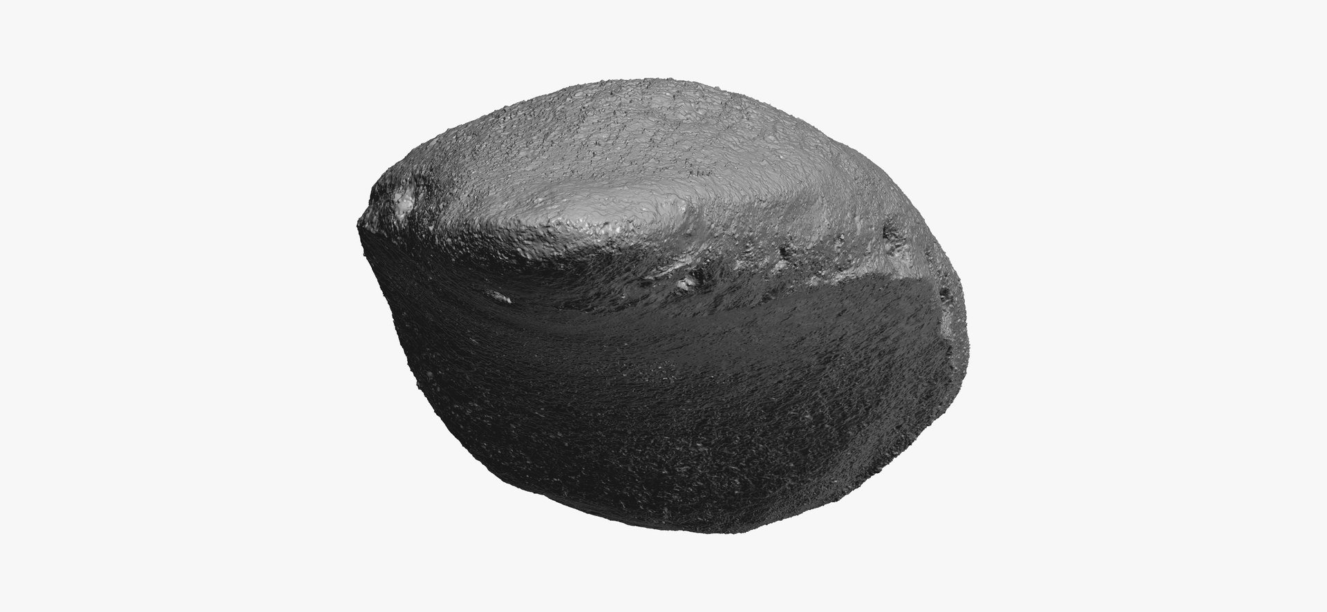 domestic cat patella kneecap model https://p.turbosquid.com/ts-thumb/nu/4K34zW/SWznyTHl/domestic_cat_patella_kneecap_bone_01_thumbnail_10/jpg/1602483481/1920x1080/fit_q87/44bae4bc57b7f19ee65b02da7a81454d8f50cfd9/domestic_cat_patella_kneecap_bone_01_thumbnail_10.jpg