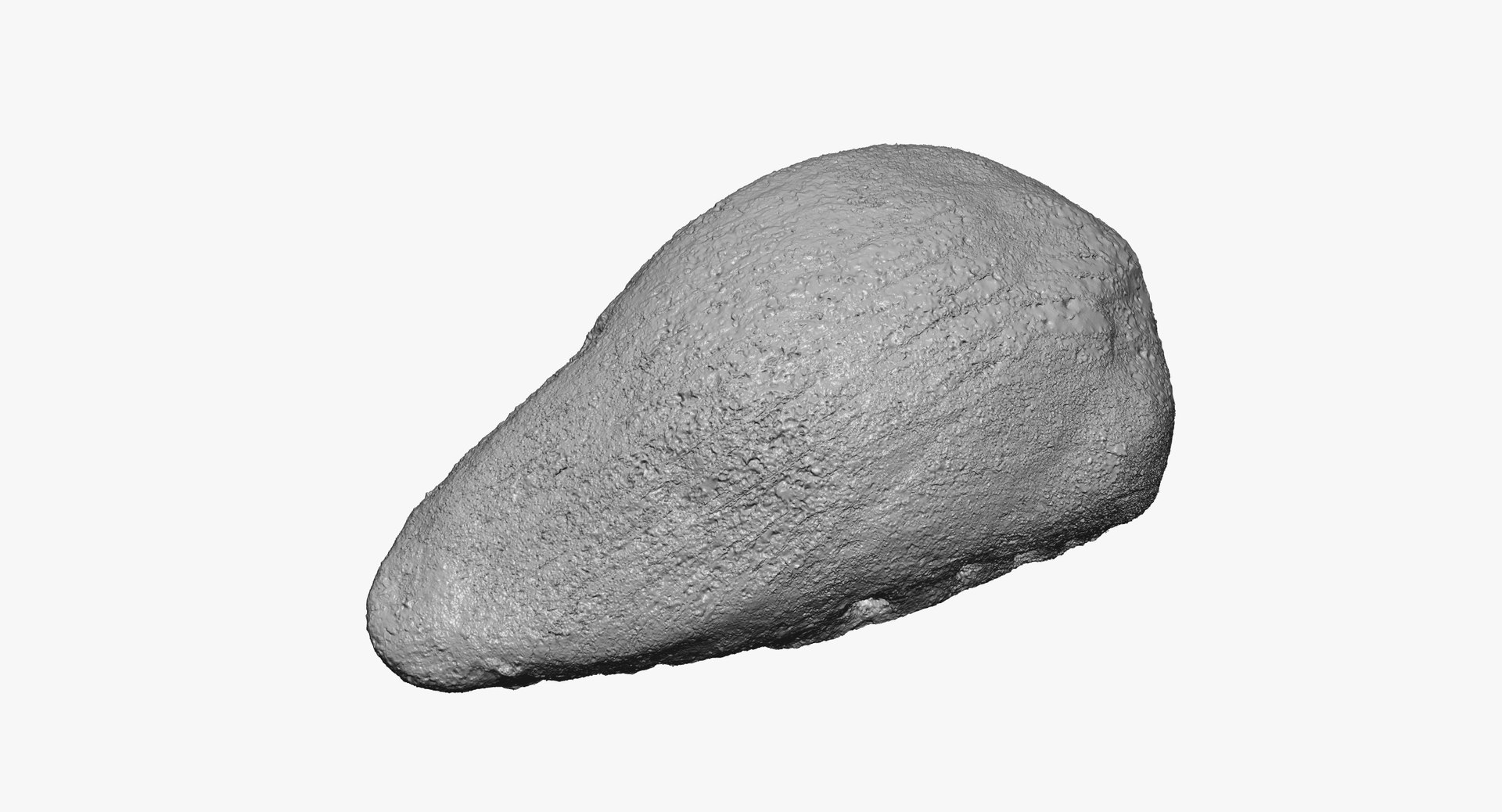 domestic cat patella kneecap model https://p.turbosquid.com/ts-thumb/nu/4K34zW/jH5NyeYu/domestic_cat_patella_kneecap_bone_01_thumbnail_02/jpg/1592224246/1920x1080/fit_q87/47ba2a51244edb9cc9a392897084ed79a9c6bdc9/domestic_cat_patella_kneecap_bone_01_thumbnail_02.jpg