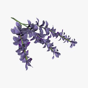 3D Medieval Lavender model