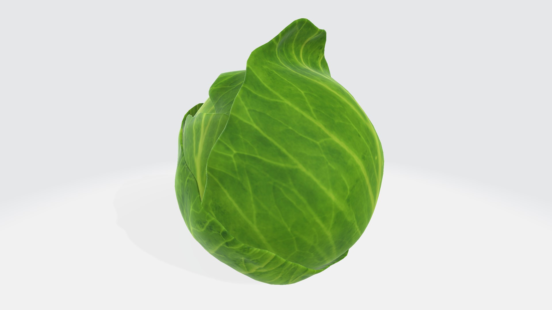 Cabbage 3D Model - TurboSquid 2344263