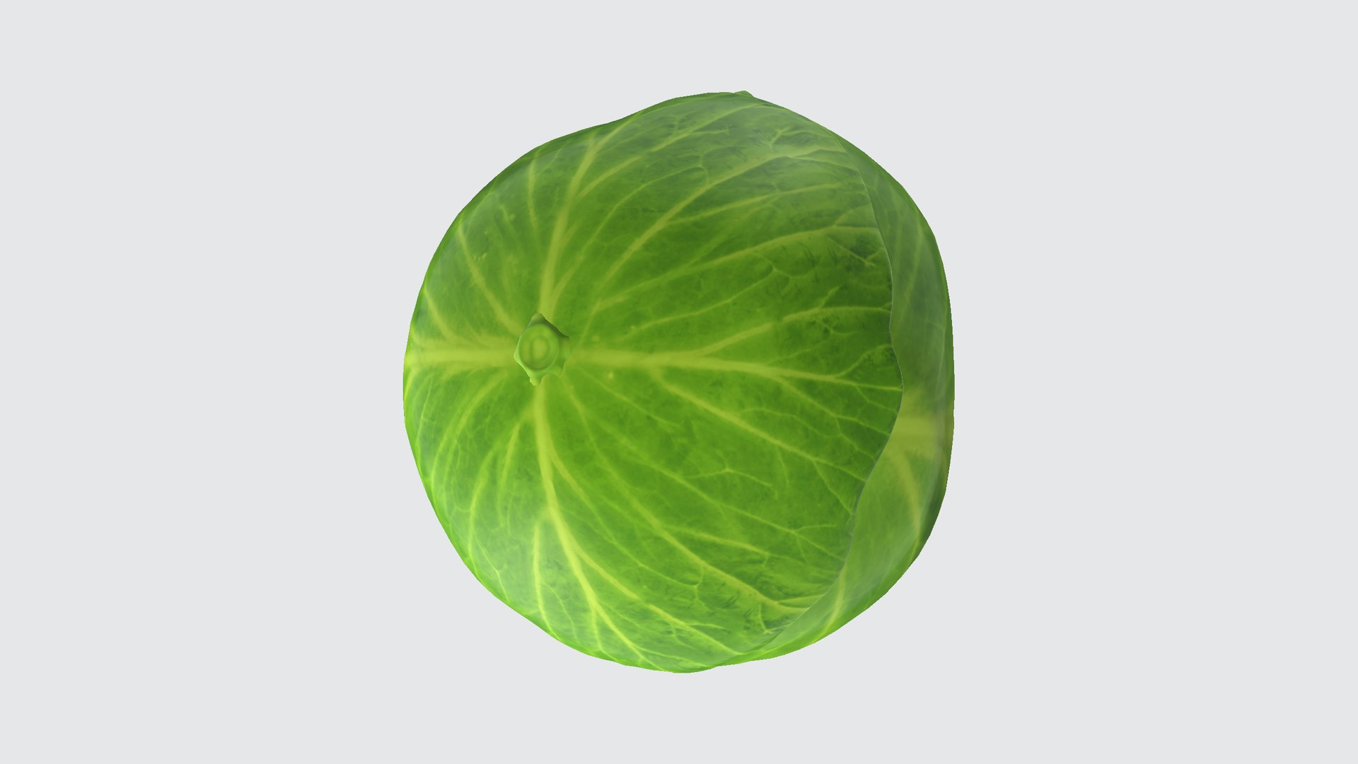 Cabbage 3D Model - TurboSquid 2344263
