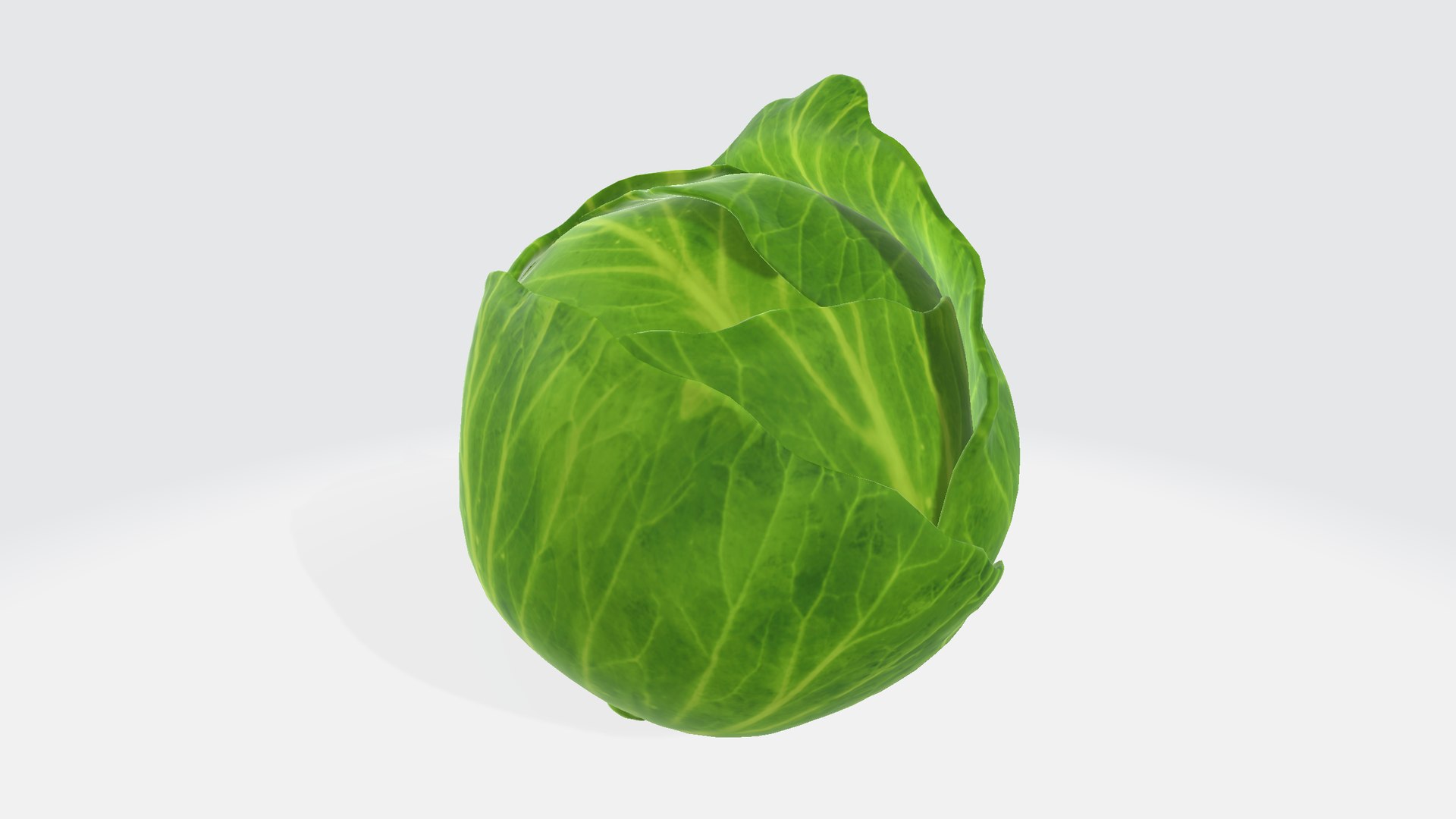 Cabbage 3D Model - TurboSquid 2344263