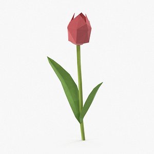 tulip design 3d max