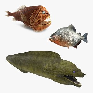 3D danger fishes