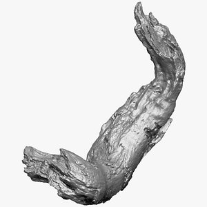 3D 3d scan of tree trunk in highpoly