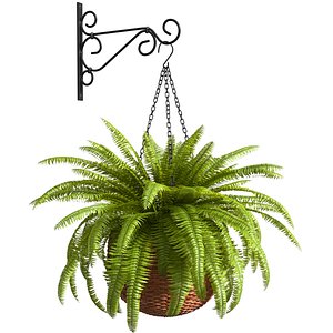 Hanging basket flowerpot rattan pot with flowers Fern
