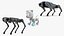 Robots Dog Collection