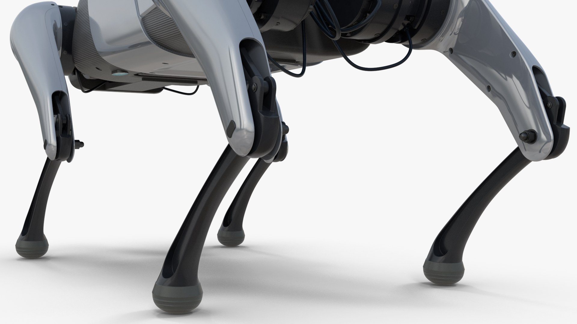 3D Robots Dog Collection https://p.turbosquid.com/ts-thumb/nu/madNAb/u8/robotsdogcollection3dmodel040/jpg/1692980983/1920x1080/fit_q87/a7e38faff17cdc8d5606f0481fdb66a311ccd6c7/robotsdogcollection3dmodel040.jpg