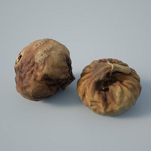 3DSCAN-Traditional Chinese Medicine-Ficus carica Linn