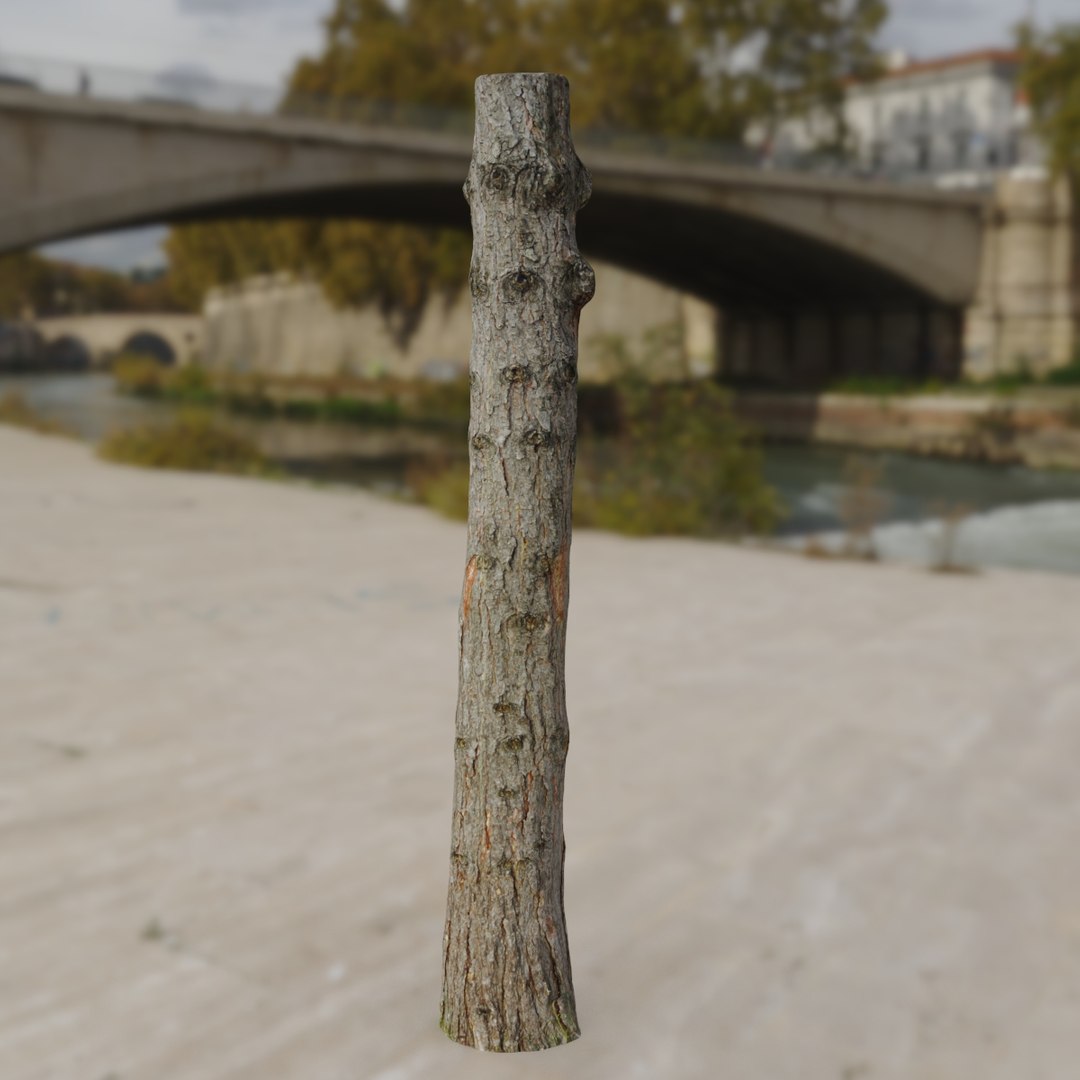 Pine trunk 3d scan 3D model https://p.turbosquid.com/ts-thumb/nv/GL9hoe/Gu/pine_young_trunk.11/jpg/1711444912/1920x1080/fit_q87/0207c89ca2602a1bd52ab39b554b39604eacf1b6/pine_young_trunk.11.jpg