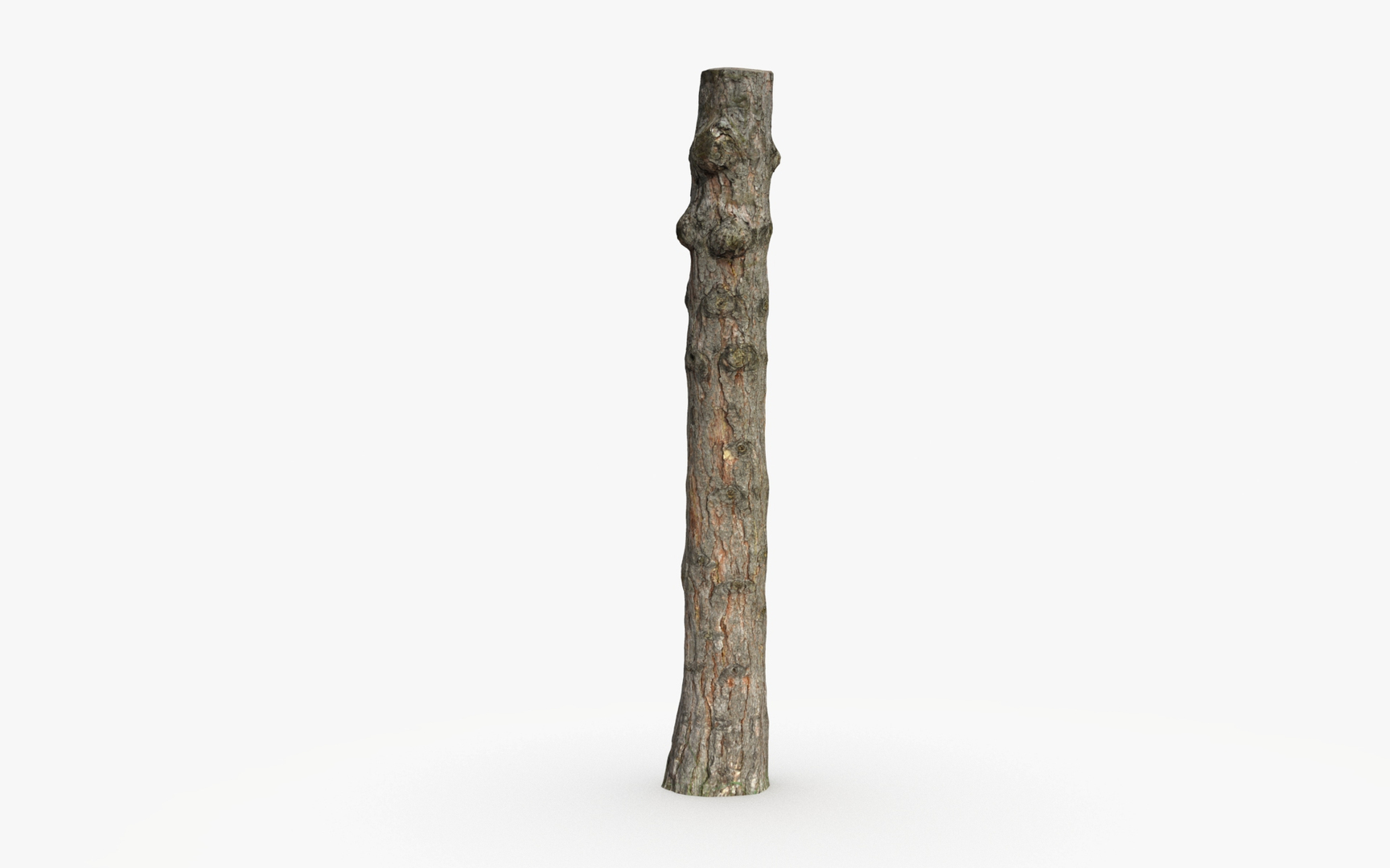 Pine trunk 3d scan 3D model https://p.turbosquid.com/ts-thumb/nv/GL9hoe/Ln/frame/jpg/1711474279/1920x1080/turn_fit_q99/ff57f802d2c3a59bf973d9534431394e0ddbb415/frame-1.jpg