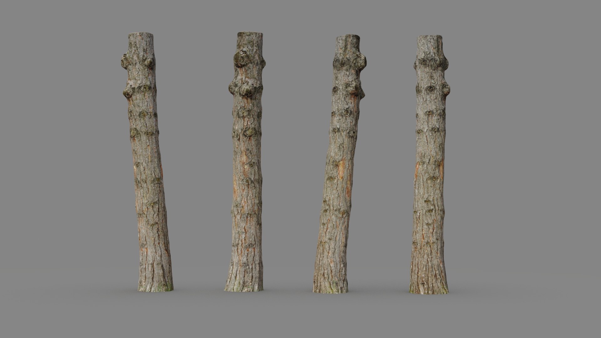 Pine trunk 3d scan 3D model https://p.turbosquid.com/ts-thumb/nv/GL9hoe/RR/pine_young_trunk.3/jpg/1711444909/1920x1080/fit_q87/9e93b94eab09ec10c56f550a63b42b0805e5f0a3/pine_young_trunk.3.jpg