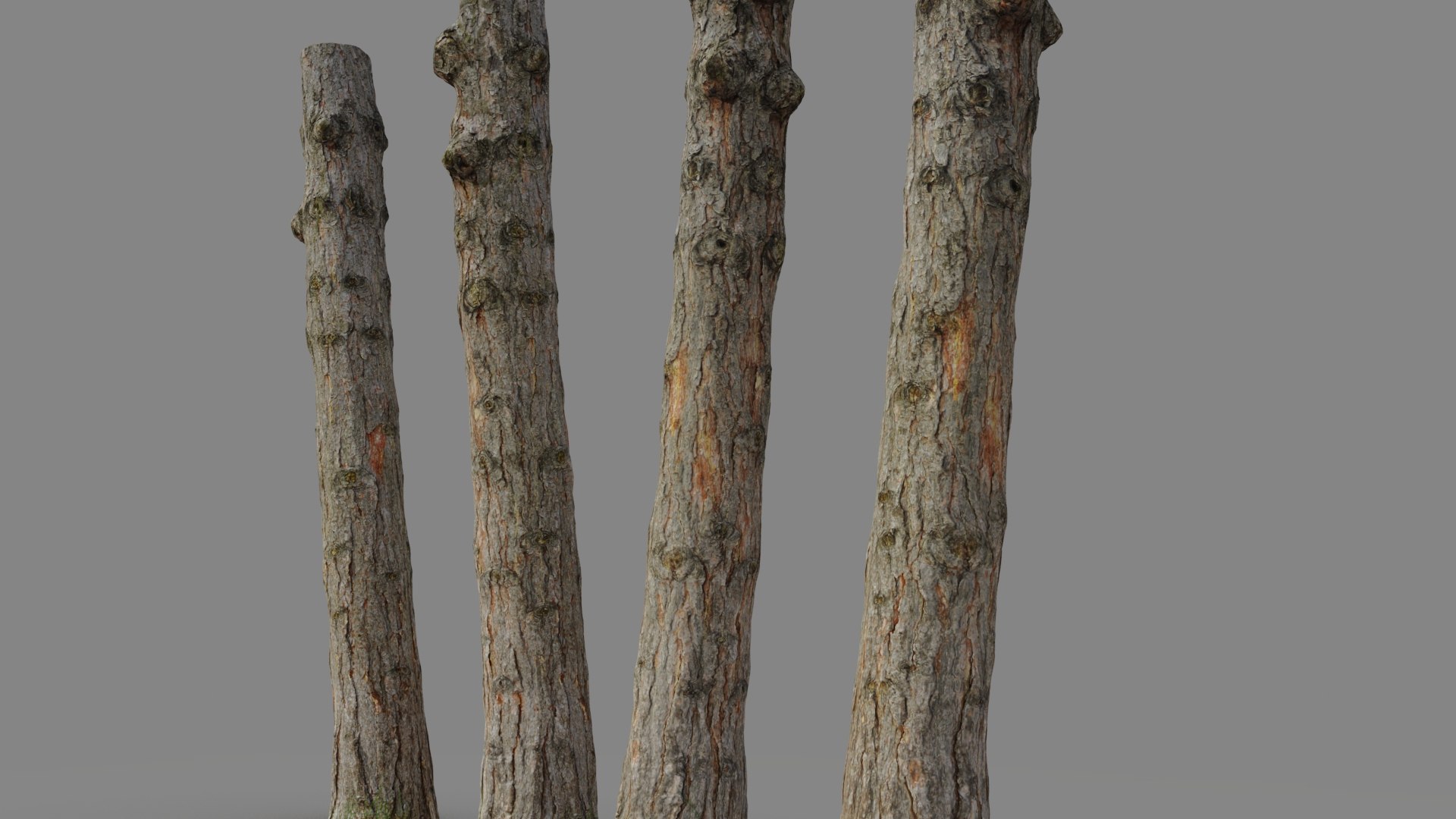 Pine trunk 3d scan 3D model https://p.turbosquid.com/ts-thumb/nv/GL9hoe/rC/pine_young_trunk.4/jpg/1711444909/1920x1080/fit_q87/e91ee3e8ef82f718627721c32937a0df432e8104/pine_young_trunk.4.jpg