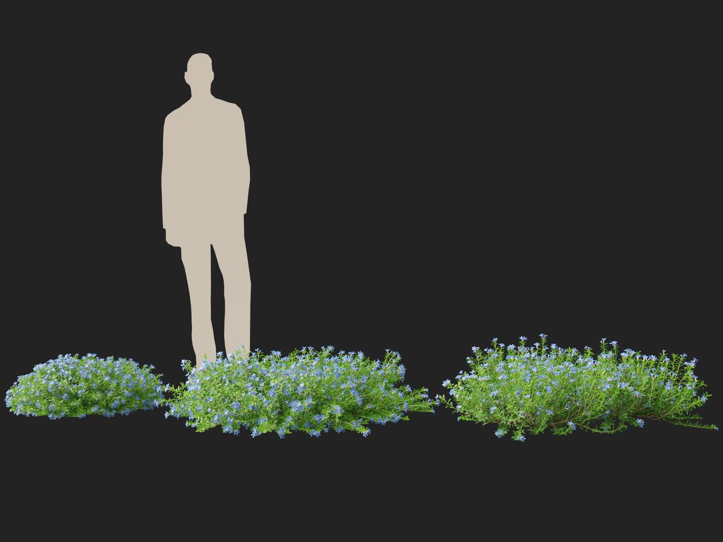 HighpolyLowPoly lithodora diffusa - Gromwell 3D https://p.turbosquid.com/ts-thumb/nv/P1VTtE/hW/lithodoradiffusa016/jpg/1738763516/1920x1080/fit_q87/31a1dca328201217cddd30c969f14a1f1092945e/lithodoradiffusa016.jpg