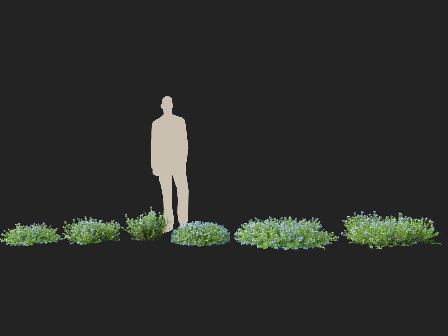 HighpolyLowPoly lithodora diffusa - Gromwell 3D https://p.turbosquid.com/ts-thumb/nv/P1VTtE/oz/lithodoradiffusa012/jpg/1738763513/1920x1080/fit_q87/4ff08dc8740995528830d16baba7302f5b15b066/lithodoradiffusa012.jpg