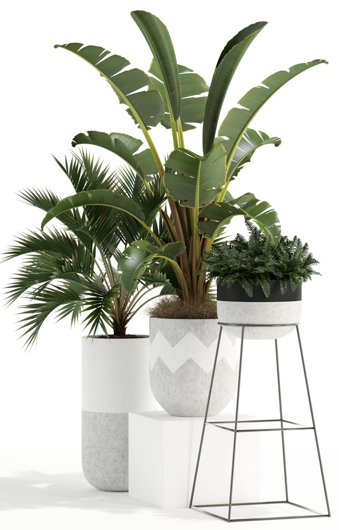 plants 110 3D https://p.turbosquid.com/ts-thumb/nv/Qs7FI2/2toHIfPp/plant_110_02/jpg/1531034930/1920x1080/fit_q87/d44264487371ef4fa017e76366ff22deee66b8e8/plant_110_02.jpg