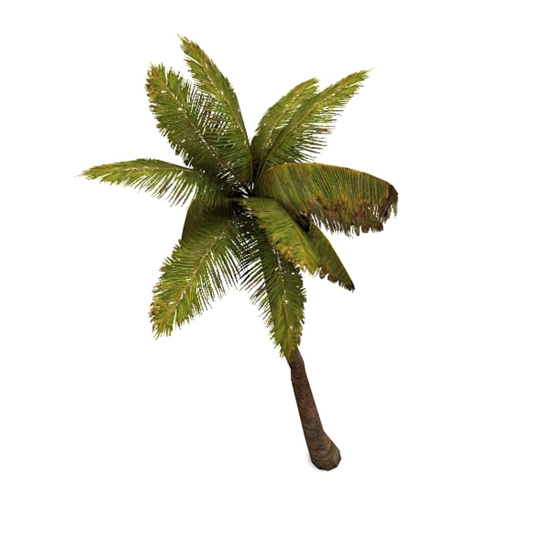palm levels max https://p.turbosquid.com/ts-thumb/nv/UPT2F7/1syOLIWI/palm3_view_c/jpg/1296632406/1920x1080/fit_q87/669ca1cbb1170b4d82ff644083debb2ef524cb6e/palm3_view_c.jpg