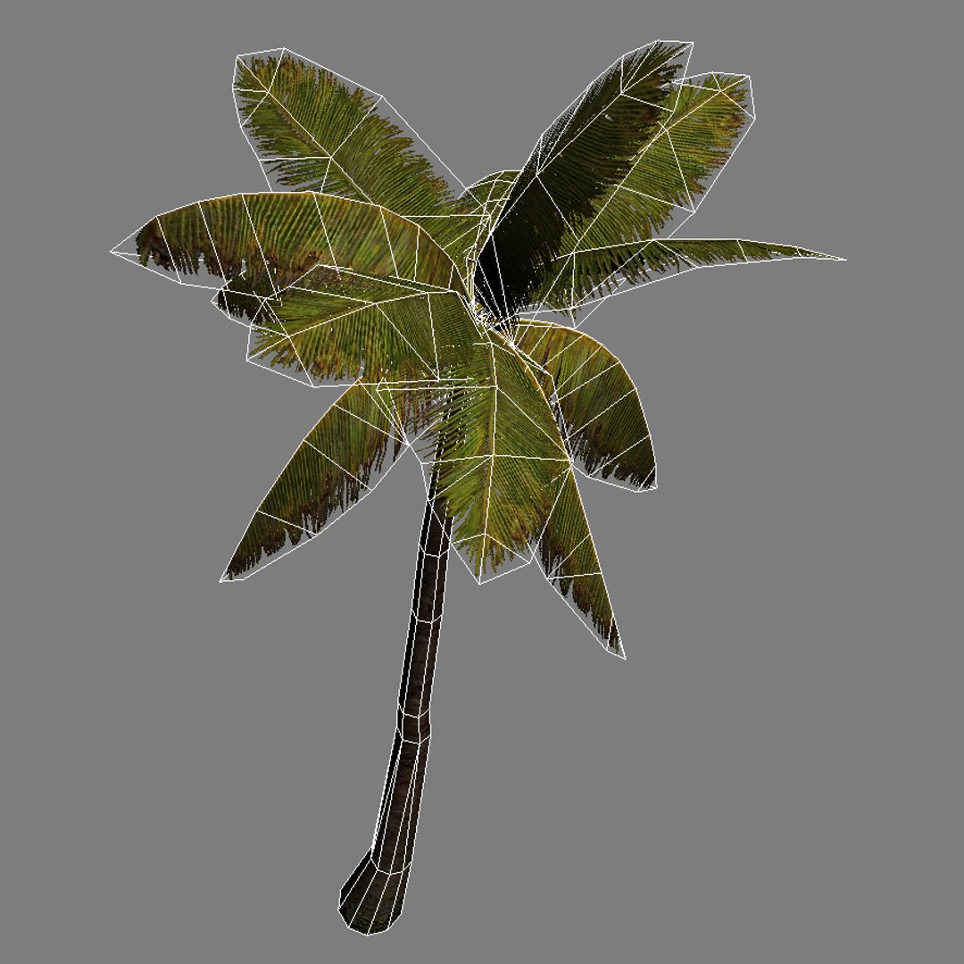 palm levels max https://p.turbosquid.com/ts-thumb/nv/UPT2F7/KI45QPZh/palm3_wire_a/jpg/1296632415/1920x1080/fit_q87/502ad5dfaa6818f69c8b5d014b541ba98ba1393d/palm3_wire_a.jpg
