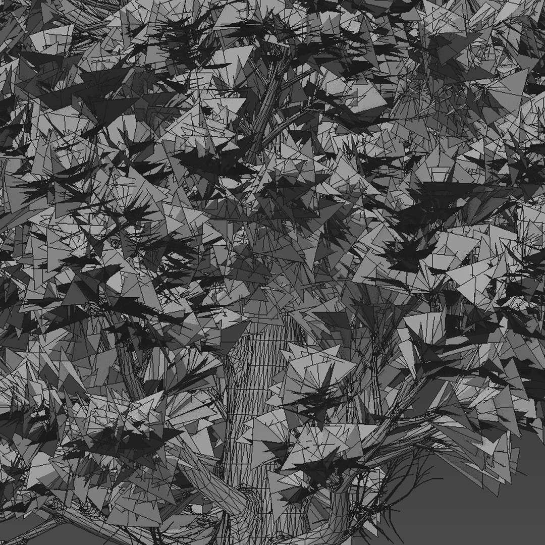 Set Of Norway Spruce Or Picea Abies Tree - 3 Trees 3D Model ...