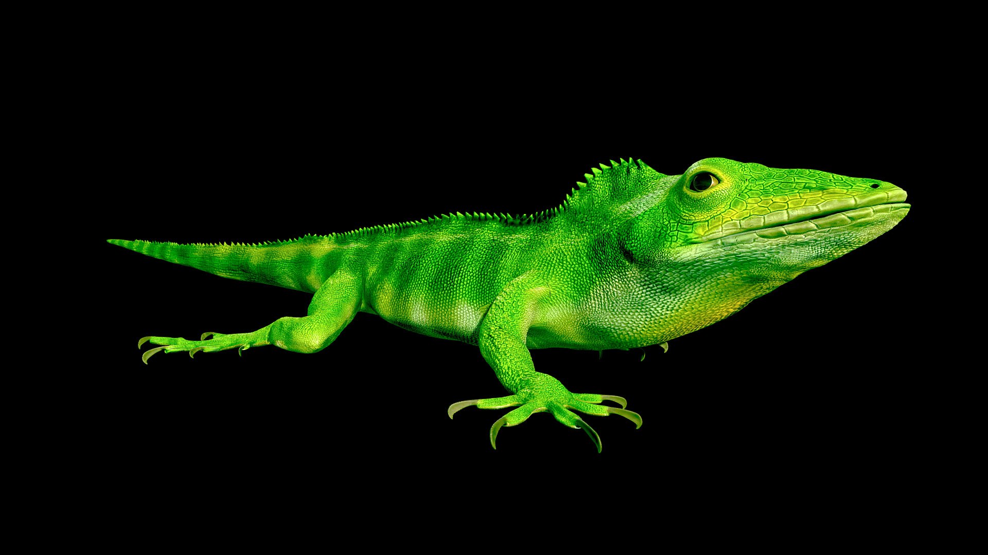 Lizard 3D Animated 3D model https://p.turbosquid.com/ts-thumb/nv/tJM89A/Ey/preview09/jpg/1643100351/1920x1080/fit_q87/1e43aa26ae0187992d022492ba1a081d254840db/preview09.jpg