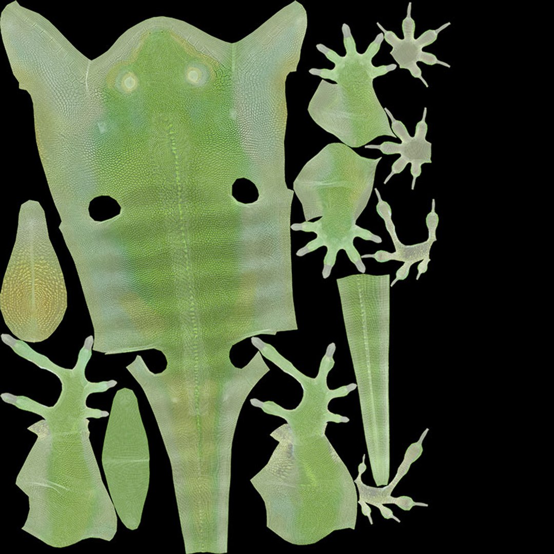 Lizard 3D Animated 3D model https://p.turbosquid.com/ts-thumb/nv/tJM89A/Ry/uv/jpg/1643100349/1920x1080/fit_q87/6f0dafd2325d40cc3d2d2d96047a74f8b81a7f97/uv.jpg