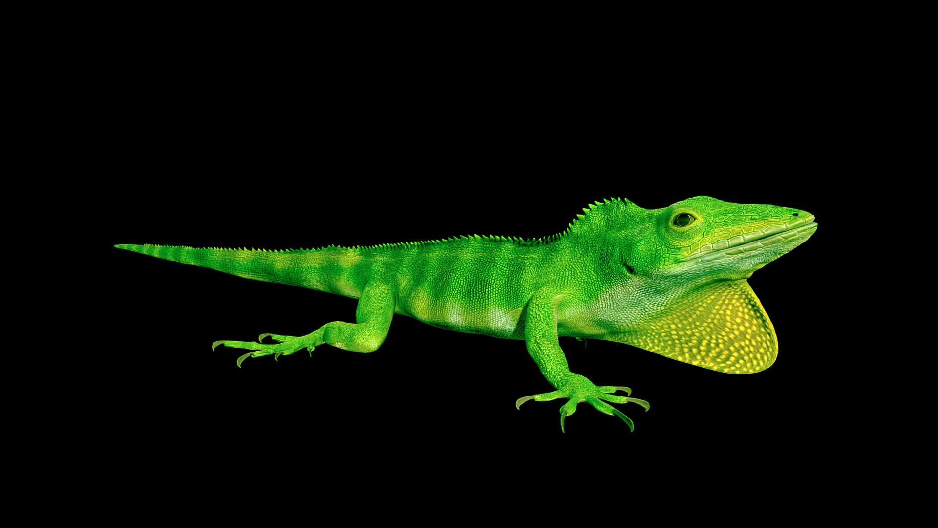 Lizard 3D Animated 3D model https://p.turbosquid.com/ts-thumb/nv/tJM89A/YR/preview06/jpg/1643100350/1920x1080/fit_q87/4ca6a3dc218dff9e22cb467baecfe53aa85da6a5/preview06.jpg
