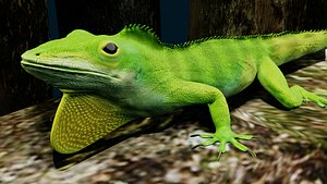 Lizard 3D Animated 3D model