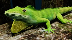 Lizard 3D Animated