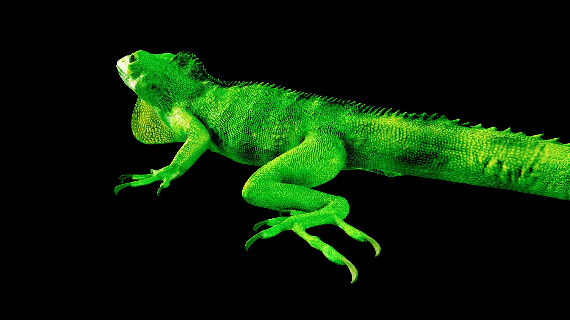 Lizard 3D Animated 3D model https://p.turbosquid.com/ts-thumb/nv/tJM89A/wx/preview11/jpg/1643100352/1920x1080/fit_q87/1c2a69f2b592148700c9111ac458a57bbc9dabb2/preview11.jpg