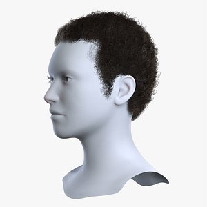 Realistic Curly Afro Textured Short Tapered Brown Hair 3D Asset 3D