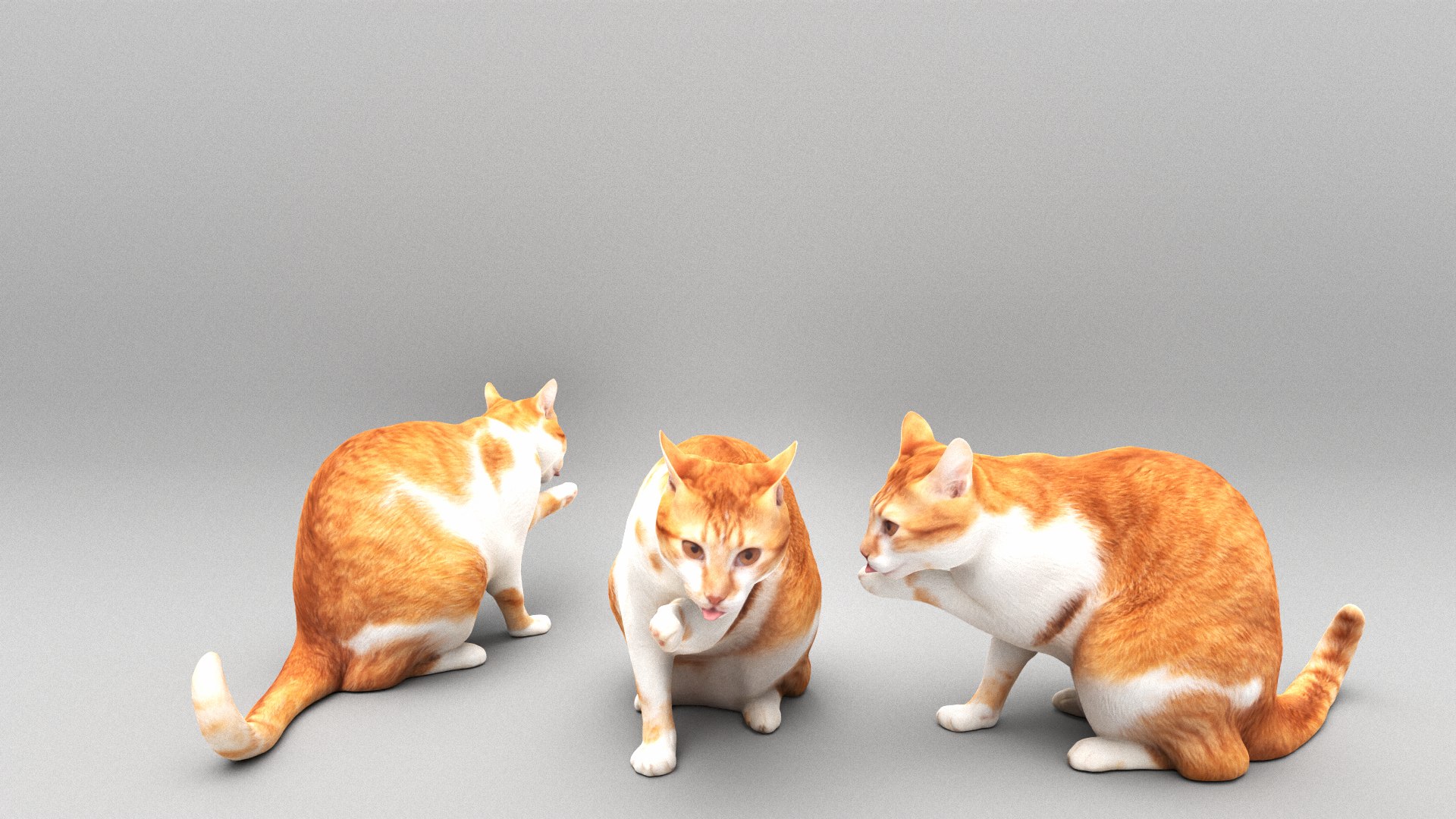Cat licking paw 45 3D model https://p.turbosquid.com/ts-thumb/nw/1v0C7c/2W/z04a_02set_02shot_02/png/1698396043/1920x1080/fit_q87/b56de4be96ee8fbf04839d28ef943032dd2330ef/z04a_02set_02shot_02.jpg
