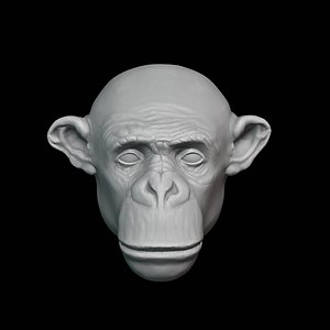 Monkey decor 3D