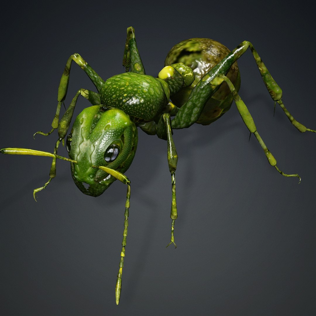 Ant-V1 3D model https://p.turbosquid.com/ts-thumb/nw/F1IaSy/0a/v1/jpg/1767847390/1920x1080/fit_q87/974201b824189b8036fa7dc45f9868dd0a213cf9/v1.jpg
