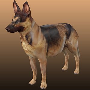 3D model German Shepherd - Dog Rig