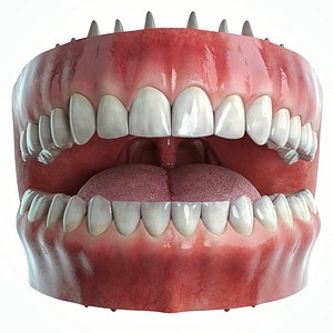 Realistic Human Mouth model