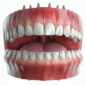 Realistic Human Mouth model