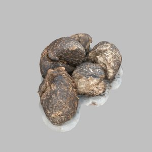 3D poop poo goat