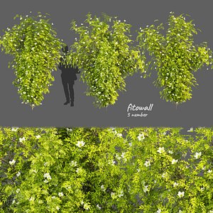 3D Collection plant vol 358 - bush - outdoor - leaf -  - blender - 3dmax - cinema 4d