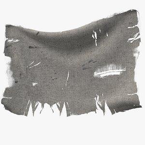 Torn Ripped Banner