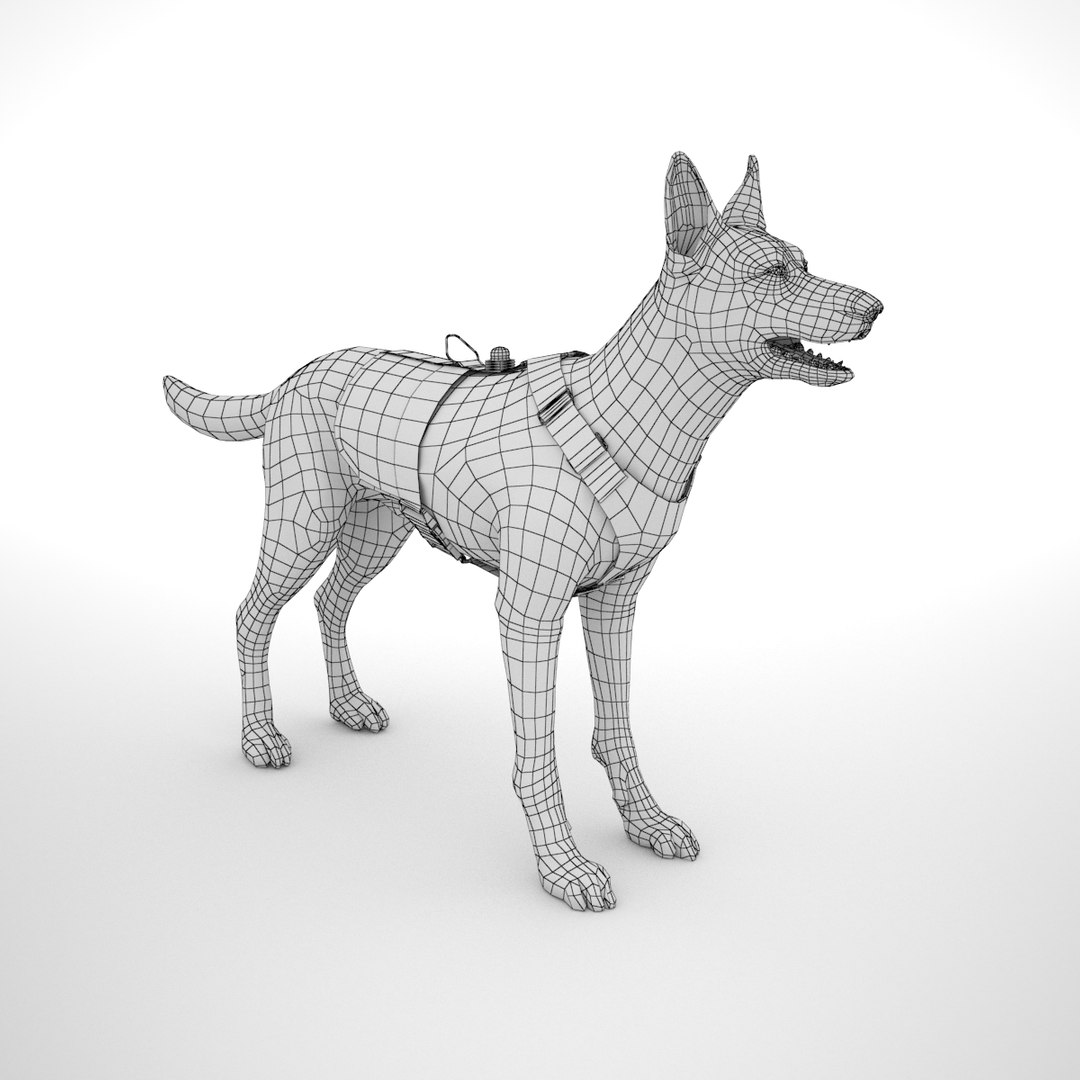 belgian malinois combat harness 3D https://p.turbosquid.com/ts-thumb/nx/6O3aMB/GeWWHnHF/belgianmalinoisblkch_wireframe_0001/png/1516731525/1920x1080/fit_q87/978908c651545dd721c4e3b0e15177cc3f670a33/belgianmalinoisblkch_wireframe_0001.jpg