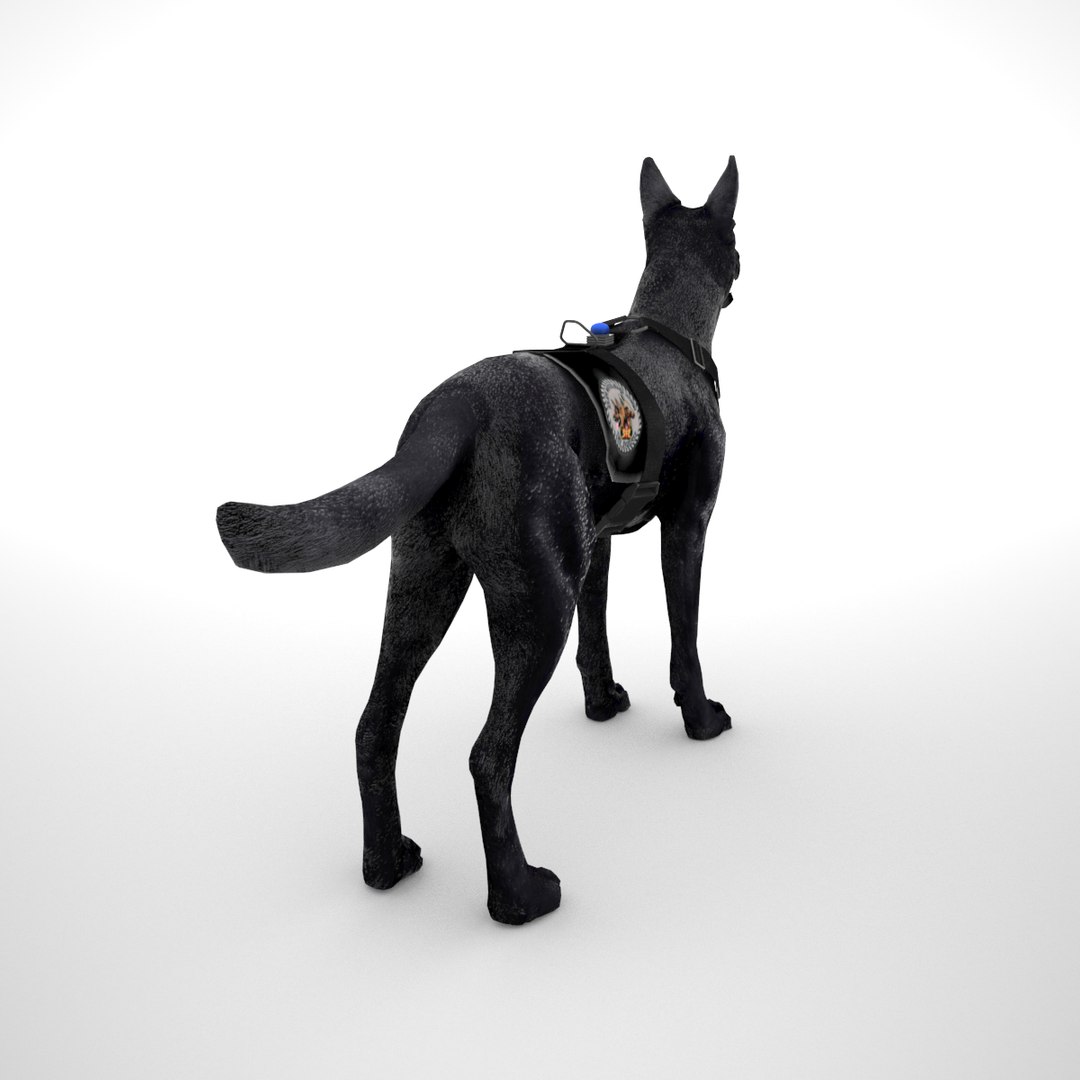 belgian malinois combat harness 3D https://p.turbosquid.com/ts-thumb/nx/6O3aMB/u7gZWa9G/belgianmalinoisblkch_0003/png/1516731525/1920x1080/fit_q87/8daa673f1782b4b3cc870a3e6a682f6ce9b05185/belgianmalinoisblkch_0003.jpg