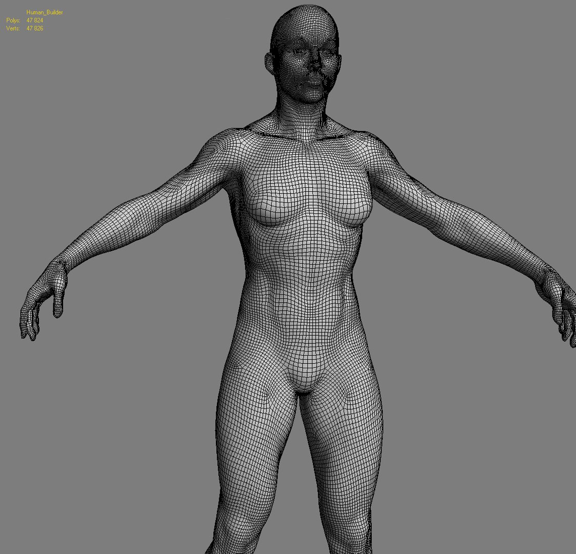 human zbuilder 3d max https://p.turbosquid.com/ts-thumb/nx/BJ73aX/EHG8yFID/wire1/jpg/1353868916/1920x1080/fit_q87/9a7f0277e0c0c314f60fe2300276b790d1f3a1aa/wire1.jpg